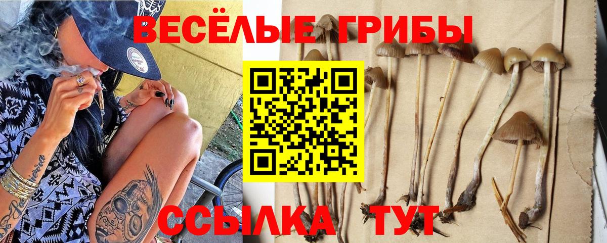 наркошоп  Псилоцибиновые грибы ЛСД  Вход с VPN  Калуга 